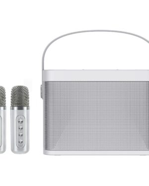Home Mini Karaoke Speaker Kit Wireless Bluetooth Dual Mic Speaker Audio Set