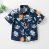 Wholesale 18M-7Y Toddler Boys Casual Vacation Printed T