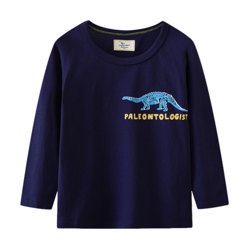 Wholesale 18M-7Y Toddler Boys Crew Neck Long Sleeve Din
