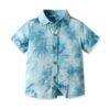 Wholesale 18M-7Y Toddler Boys Tie-Dye Printed Short-Sle
