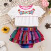 Wholesale 3M-3Y Baby Girls Embroidery Floral Puff Sleev