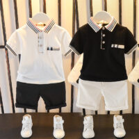 2 Pcs Toddler Boy Casual Set Polo Shirt & Shorts Wholesale 02145216