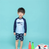 3 Pieces Set Kid Boys Beach Animals Cartoon Print Tops And Shorts And Swimwears Hats Wholesale 22060640