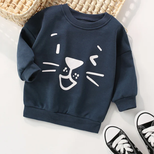 Baby Kid Boys Cartoon Hoodies Swearshirts Wholesale 220920208