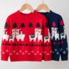 Baby Kid Boys Color-blocking Cartoon Print Christmas Sweaters Wholesale 221130138