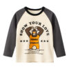 Baby Kid Boys Color-blocking Cartoon Tops Wholesale 221025322