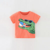 Baby Kid Boys Dinosaur T-Shirts Wholesale 220505409