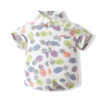 Baby Kid Boys Fruit Print Shirts Wholesale 221216363