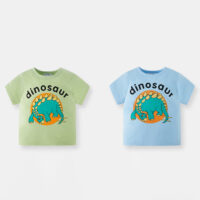 Baby Kid Boys Letters Dinosaur Tops Wholesale 24040923