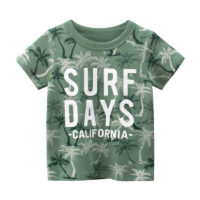 Baby Kid Boys Letters Tropical print T-Shirts Wholesale 220414140