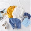 Baby Kid Boys Solid Color Tops Wholesale 22071518