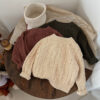 Baby Kid Girls Boys Solid Color Sweaters Wholesale 24091314