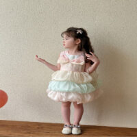 Baby Kid Girls Color-blocking Bow Princess Dresses Wholesale 25050825