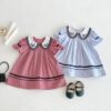 Baby Kid Girls Color-blocking Embroidered Dresses Wholesale 25050887