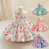 Baby Kid Girls Color-blocking Flower Print Dressy Princess Dresses Wholesale 230413351