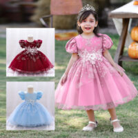 Baby Kid Girls Embroidered Dressy Princess Dresses Wholesale 23080397