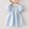 Baby Kid Girls Solid Color Dresses Wholesale 25070896