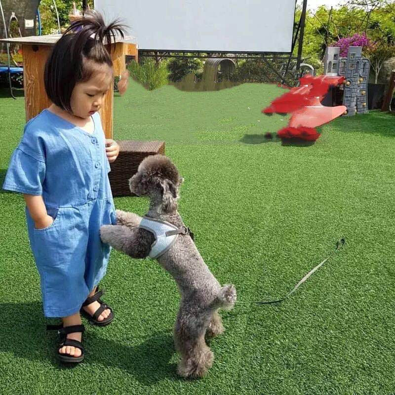 Baby Kid Unisex Solid Color Rompers Wholesale 22061334