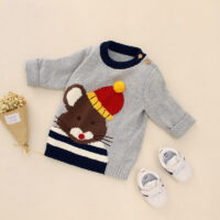 Baby Unisex Animals Crochet Sweaters Wholesale 22122920