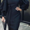 Casual Chic Career Slim Bodycon Professional Office OL Long Dress