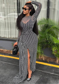 Chic Women's Semi-Sheer Slim Waist Printed High Neck Long Sleeve Slit Dress