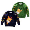 Kid Boys Cartoon Crochet Sweaters Wholesale 22113003