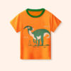 Kid Boys Dinosaur Cartoon Print T-Shirts Wholesale 250403109