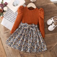 Wholesale 2-7Y Toddler Girls Long Sleeve Dress Knit Dre