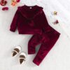 Wholesale 3-24M Baby Burgundy Printed Long Sleeve Top &