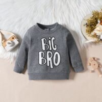 Wholesale 6M-3Y Baby Boys Big Bro Letter Embroidered Sw
