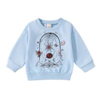 Wholesale 9M-4Y Toddler Boys Long Sleeve Sweatshirts Wh