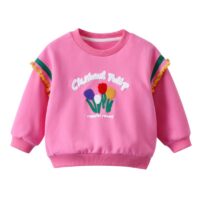 Wholesale 9M-6Y Toddler Girl Long Sleeve Floral Embroid