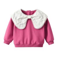 Wholesale 9M-6Y Toddler Girl Long Sleeve Floral Embroid