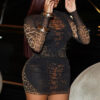 Women mesh See-Through leopard print Top and Bodycon Skirt Two Piece Set