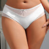 Women Summer Sheer Mesh Briefs