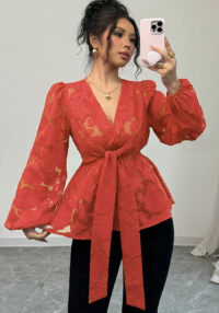 Women's Fashion Spring Autumn Sexy Sheer Long Sleeve V-Neck Blouse