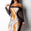 Women's Off Shoulder Mesh Patchwork Long Sleeve Printed Club Dress