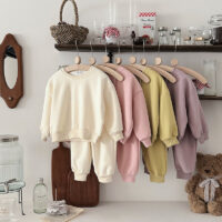 2 Pieces Set Baby Kid Girls Solid Color Tops And Pants Wholesale 25071504