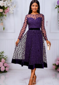 Round Neck Mesh Long Sleeve Dress Velvet Slim Waist A-Line Formal Party Midi Dress