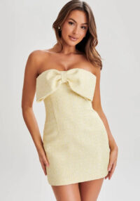 Women Solid Sexy Dress