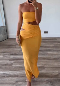 Women's Sleeveless Sheer Cutout Slim Waist Dress