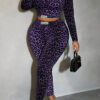 Women Leopard Print Long-Sleeve Top and Pant Two-Piece Set
