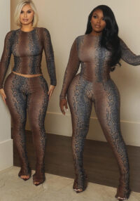 Women Autumn/Winter Long-Sleeved Top and Printed Pants Two-Piece Set