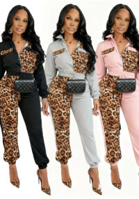 Women Casual Leopard Print Patchwork Pinsert Top and Pant Two-Piece Set